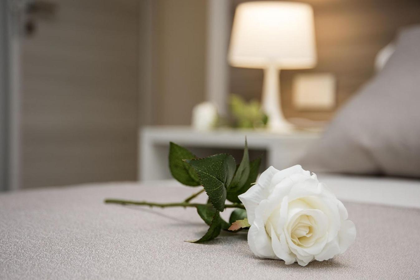 Camelot Appartamenti - Business E Holiday San Martino Buon Albergo Extérieur photo